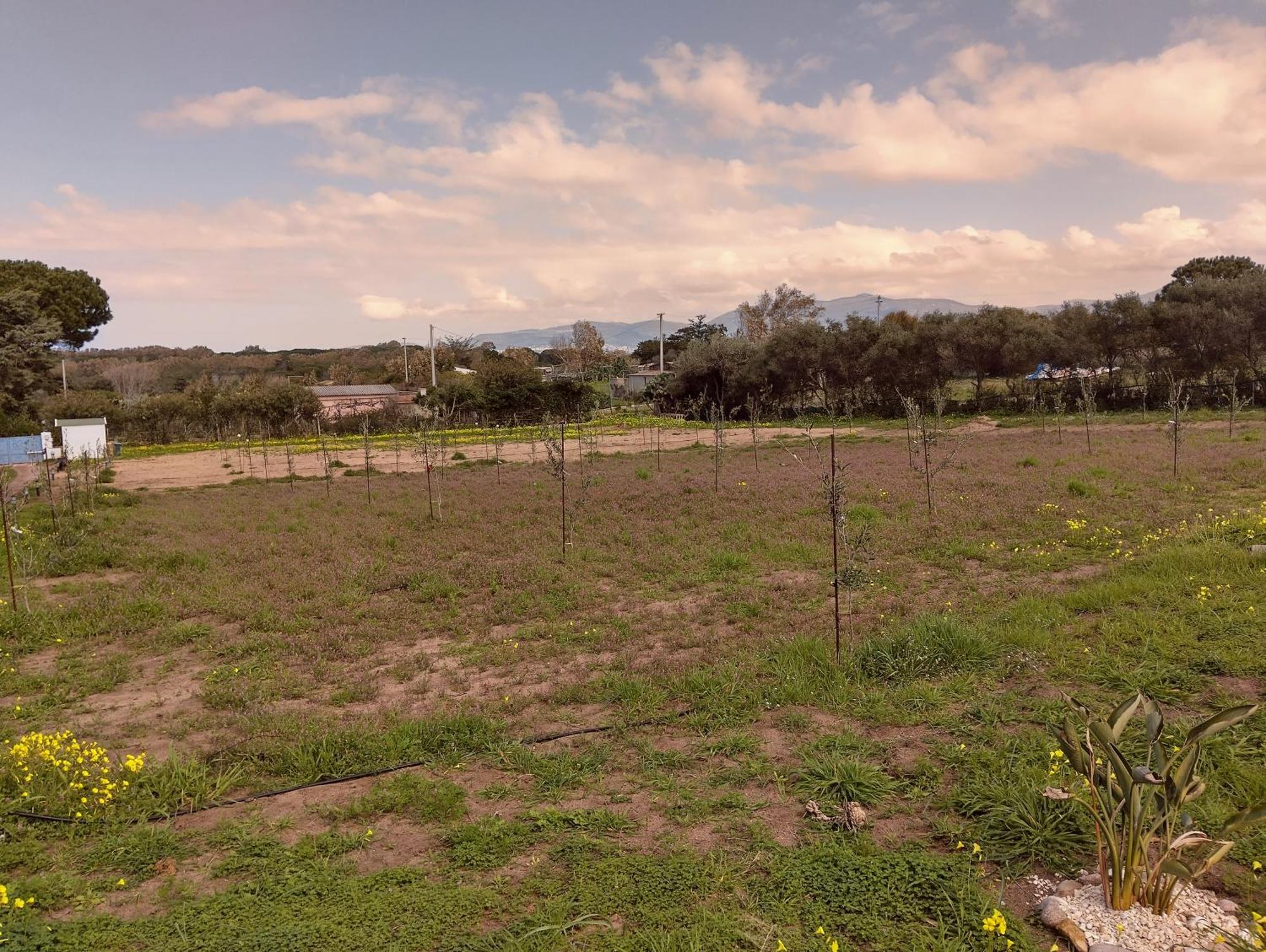 Mare Διαμέρισμα Valledoria  Εξωτερικό φωτογραφία