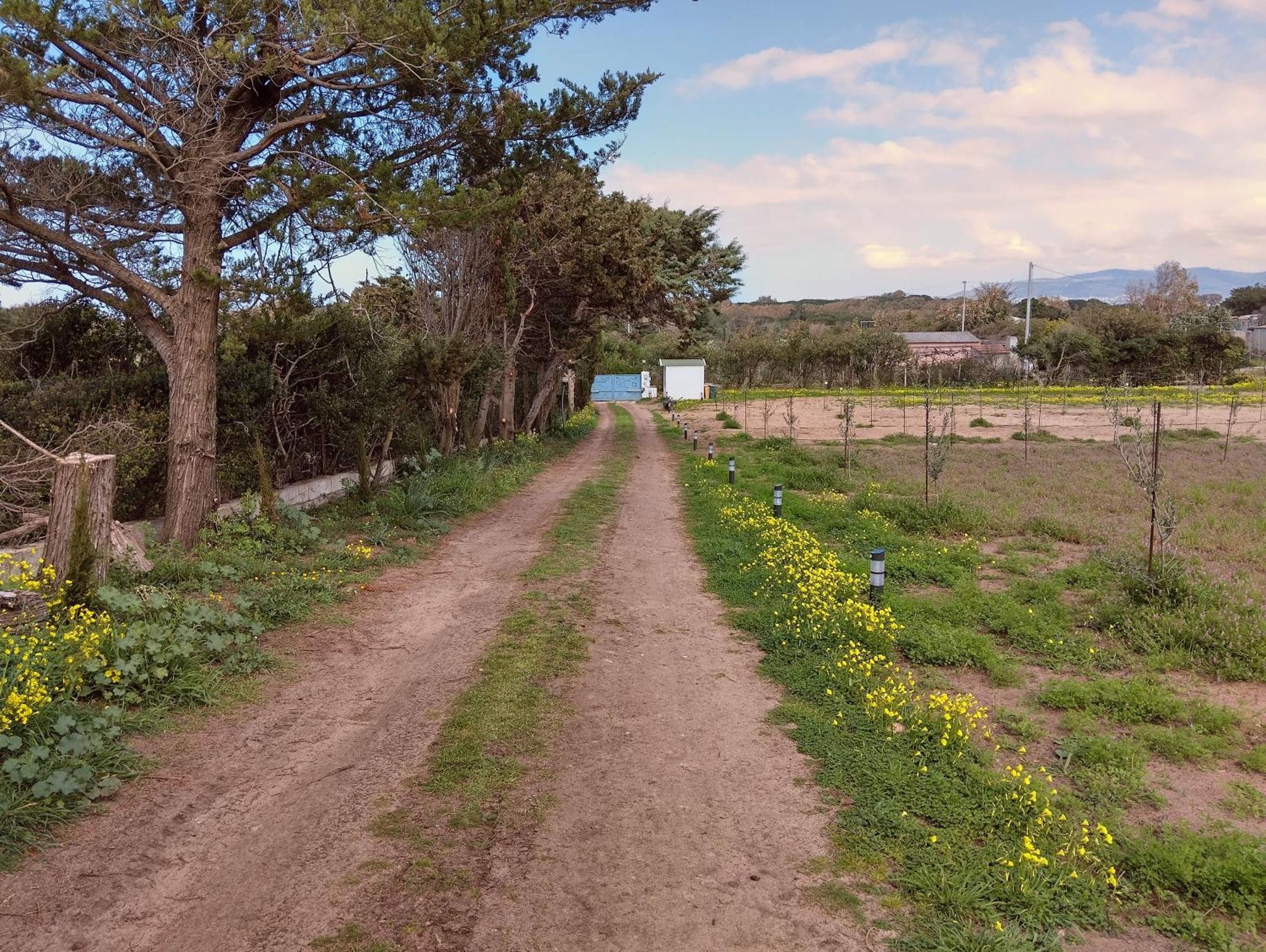 Mare Διαμέρισμα Valledoria  Εξωτερικό φωτογραφία