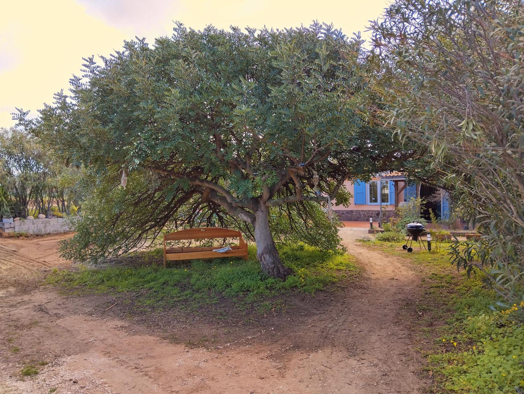 Mare Διαμέρισμα Valledoria  Εξωτερικό φωτογραφία